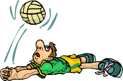 VOLLEYBALL.gif